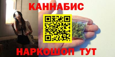 индика Норильск