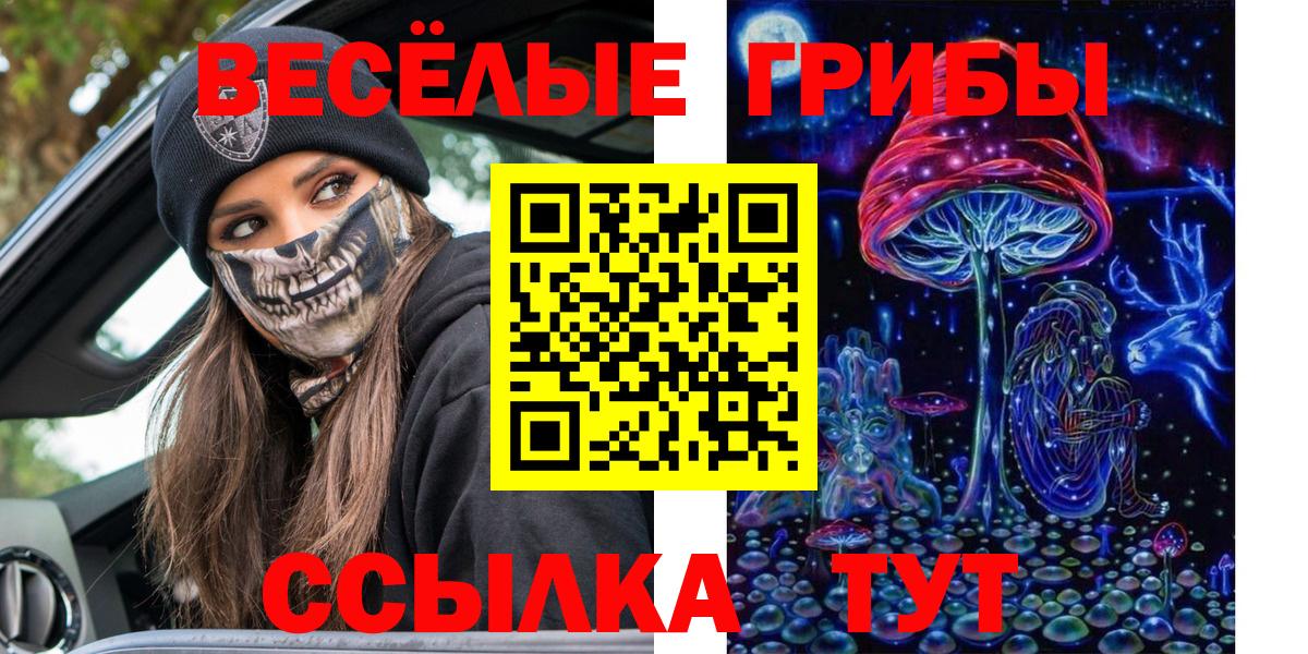 Псилоцибиновые грибы Cubensis Новоуральск