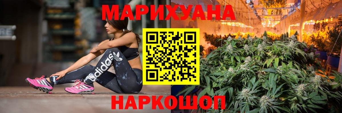 Канабис сатива Новоуральск
